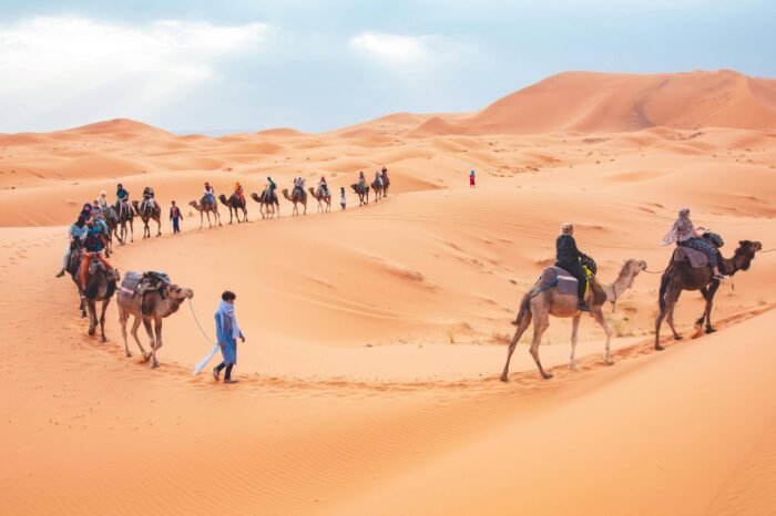 Sahara Désert